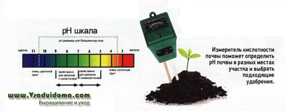 Почва для посадки комнатных растений как приготовить;