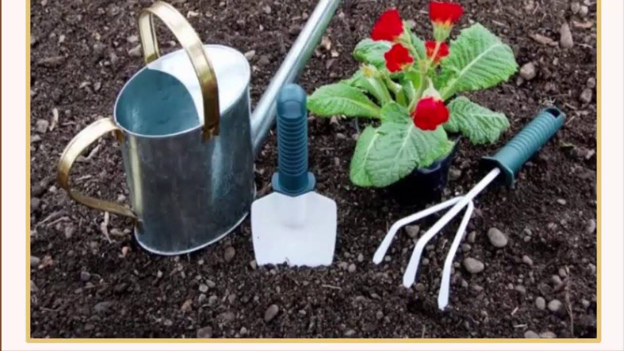 Нужно ли рыхлить землю. Рыхление почвы в цветнике. Рыхлить клумбу. Инструменты для посадки растений. Полив клумб.