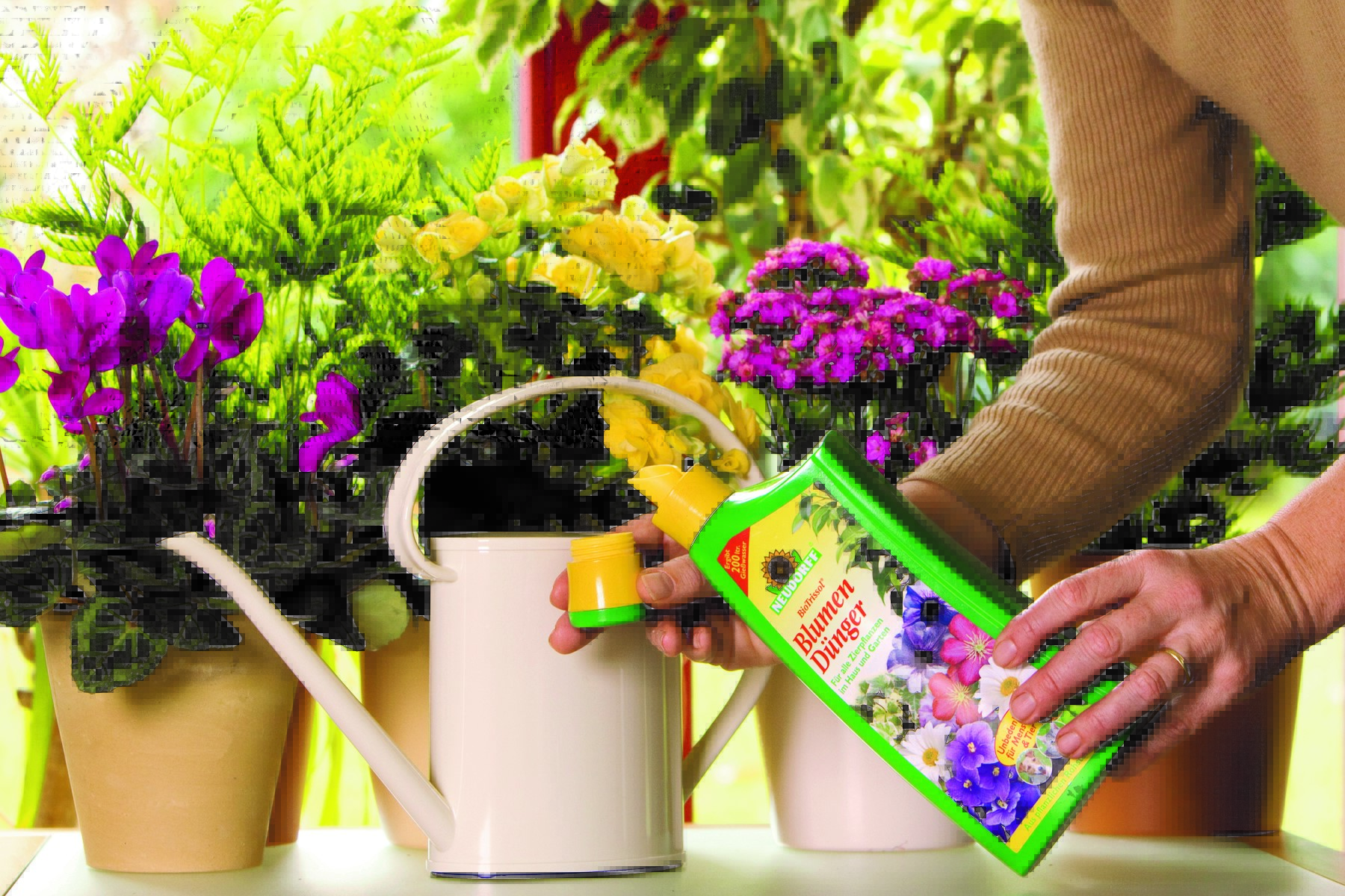 Удобрения для комнатных растений и цветов в домашних условиях