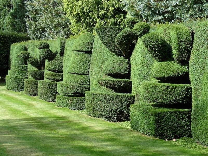 Левенс холл – самый красивый топиарный сад англии