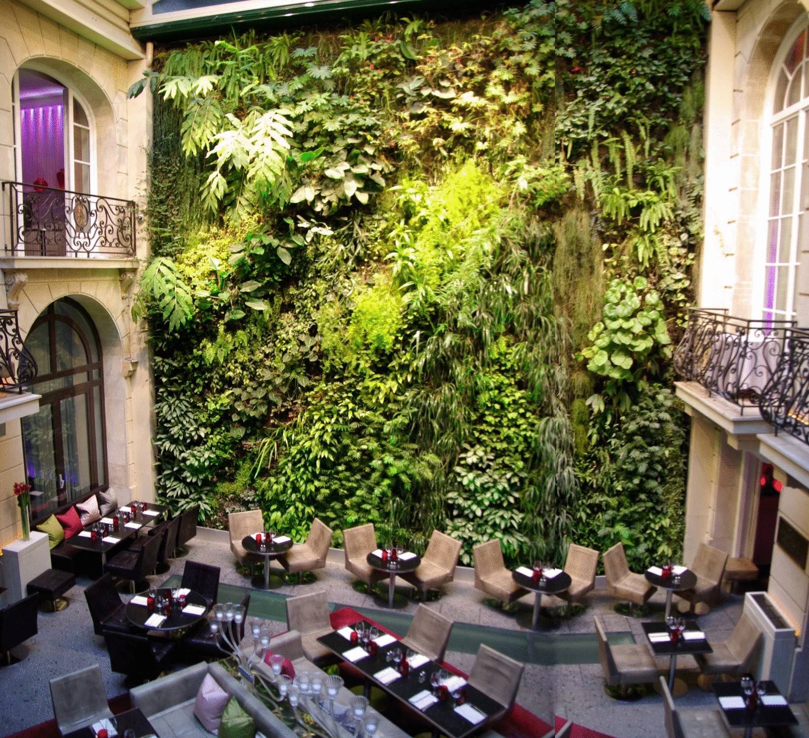 Необычный экспонат недели дизайна в париже: вертикальный сад «оазис абукир» от патрика блана |