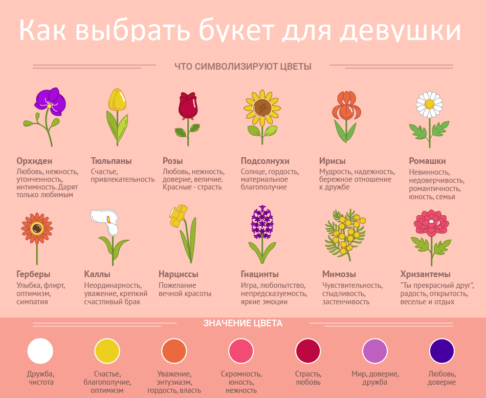 Топ-20 самых красивых красных цветов и их значение на языке цветов