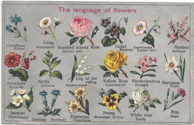 Значение цветов в букете: послание на языке растений