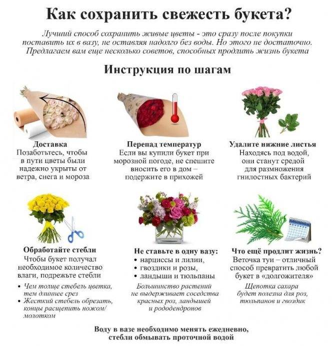 Советы флористов