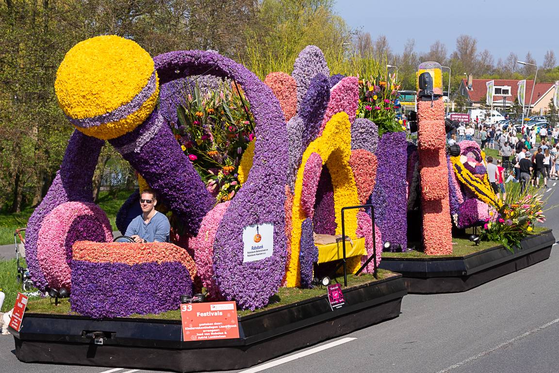Фестиваль цветов в голландии: как и когда отмечают