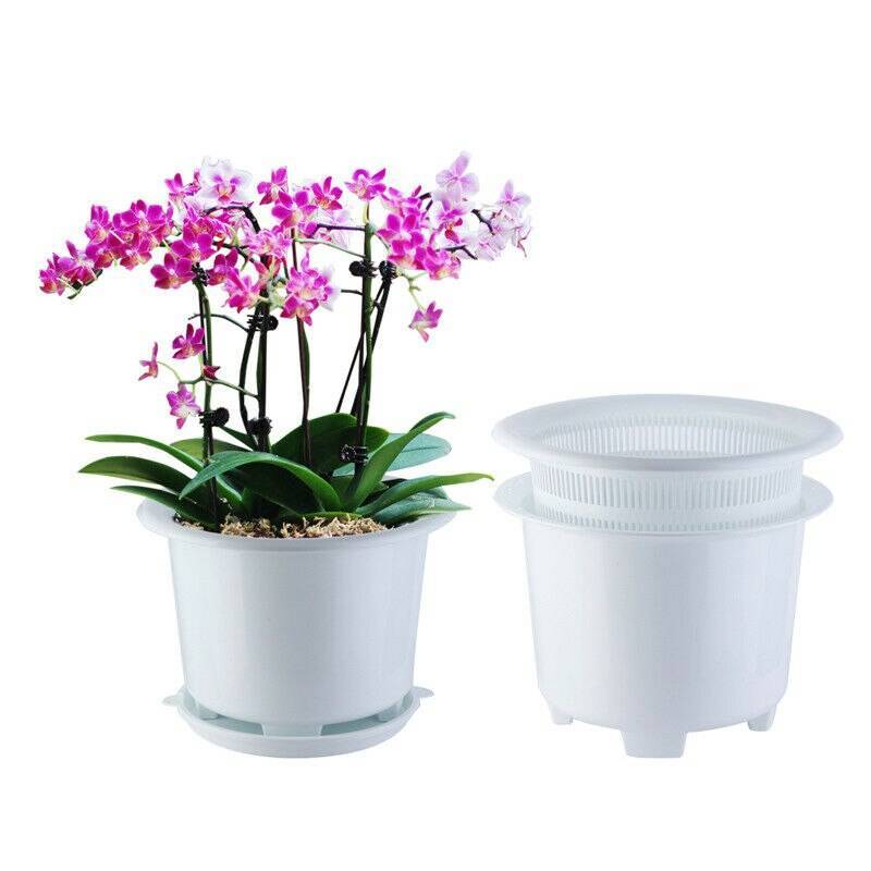 Какие горшки для орхидей нужны, как правильно выбрать емкость и посадить растение, фото орхидей в горшках, видео