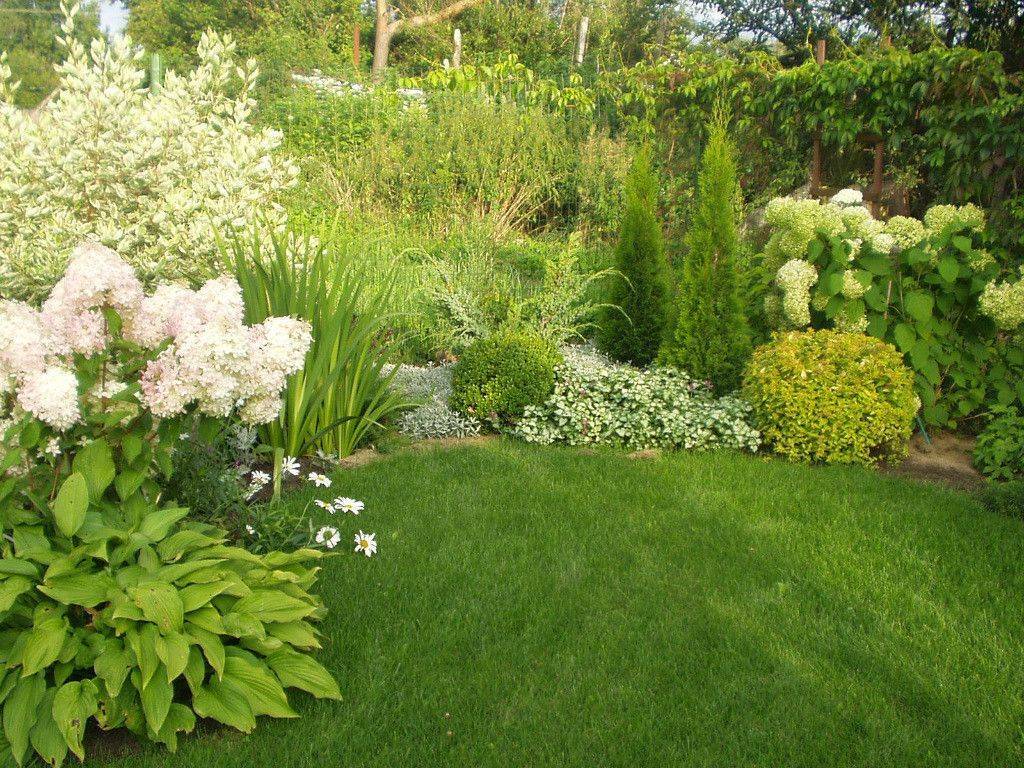 Гортензии в ландшафтном дизайне сада и дачного участка: идеи композиций из разных видов и сортов с фото, сочетание с другими растениями