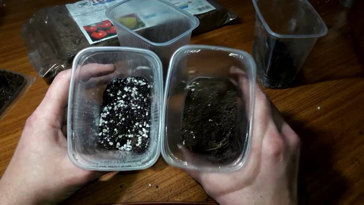 Земля для фиалок: какую выбрать почву, что использовать в качестве питательной части, наполнителя, разрыхлителя, а также варианты готовых грунтов