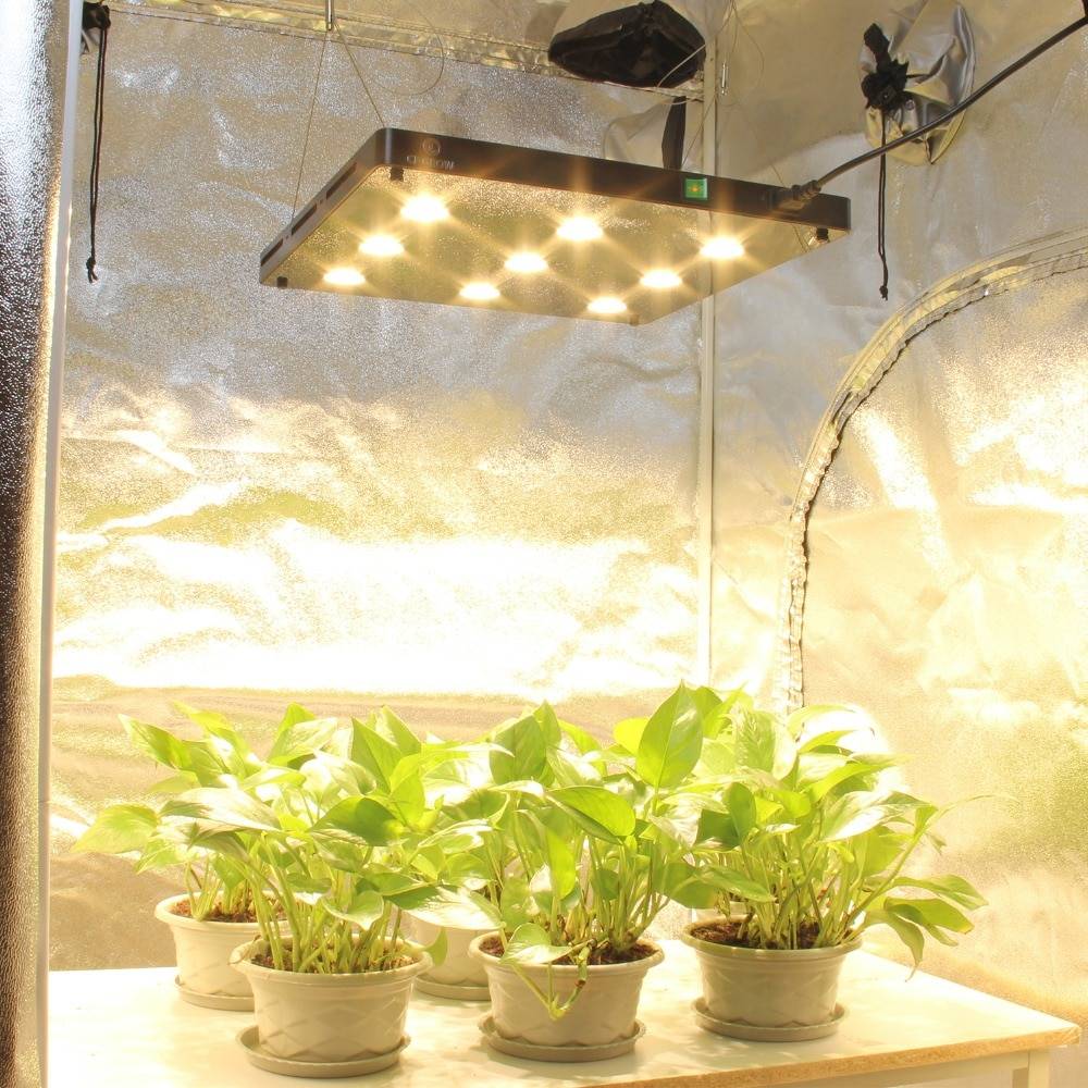 Подсветка для комнатных для растений