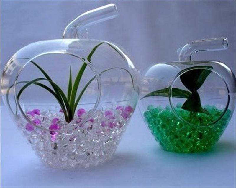 Гидрогель для растений: применение для огорода, как использовать аквагрунт для комнатных цветов