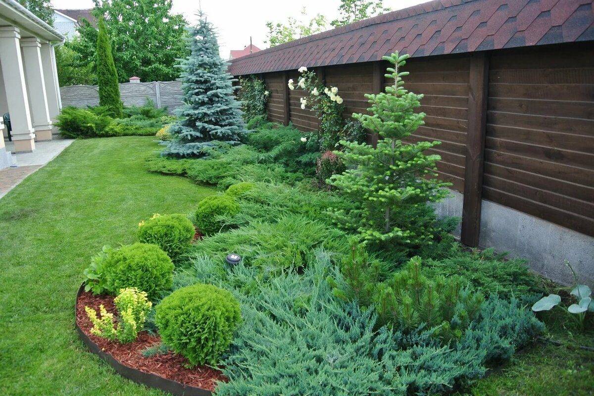 Клумба с гортензией — схема посадки кустов - мой сад