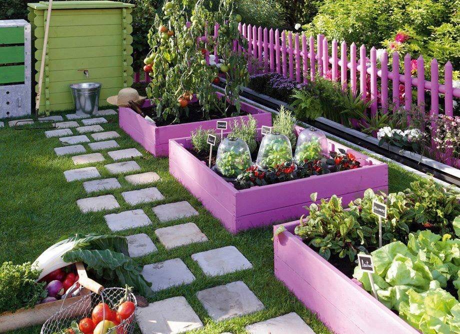 Красивый огород в частном доме и на даче: 20 фото идей