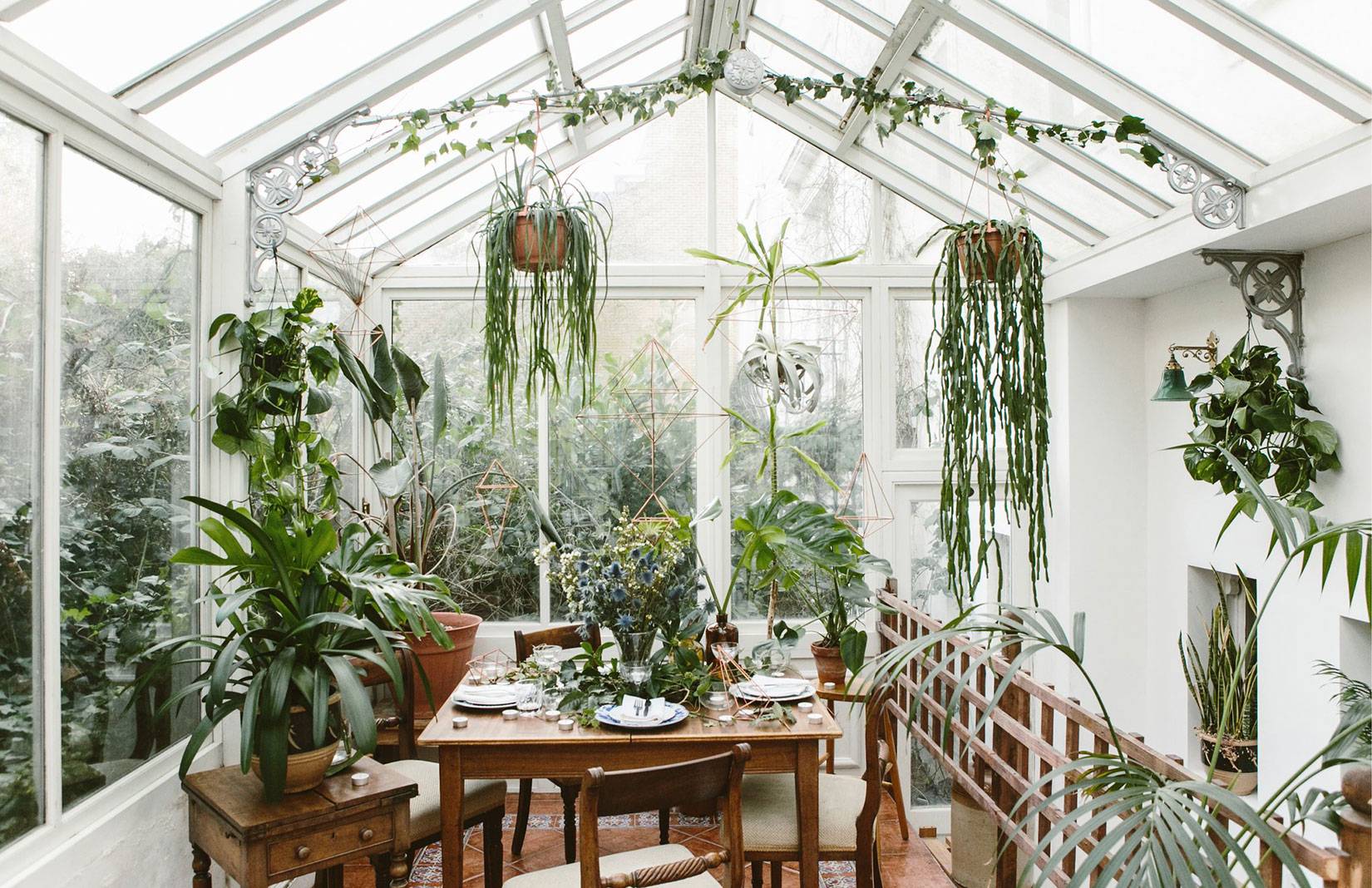 Зимний сад в доме: 100 лучших идей на фото