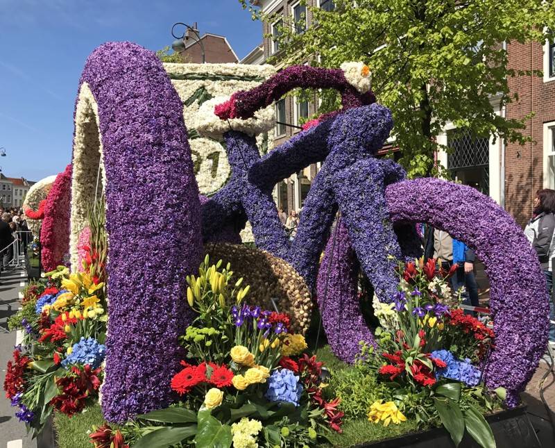 Аmsterdam-times.ru: фестиваль тюльпанов в голландии – громкое ежегодное событие, праздник, парад. музей тюльпанов в городе амстердаме