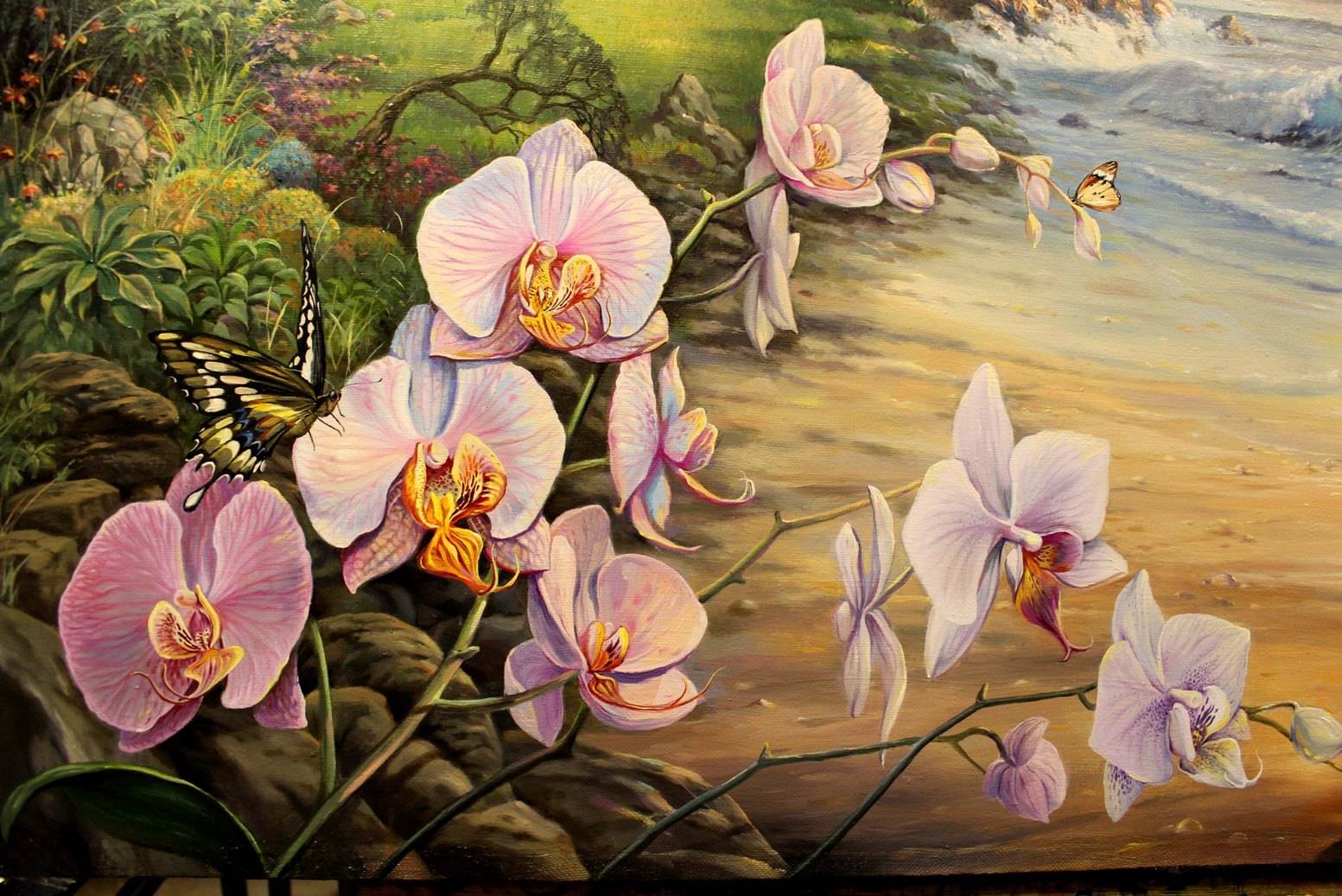 Орхидея в доме: приметы, суеверия и правила круглогодичного цветения