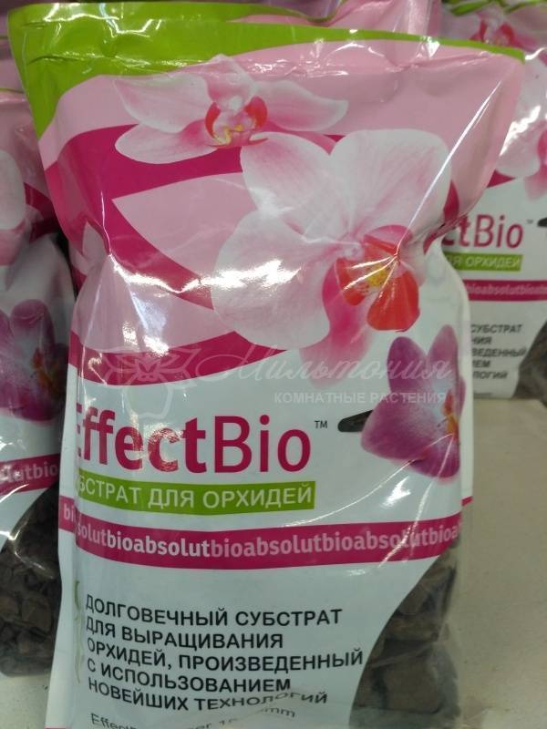 Субстрат для орхидеи - какой лучше, как приготовить своими руками в домашних условиях
