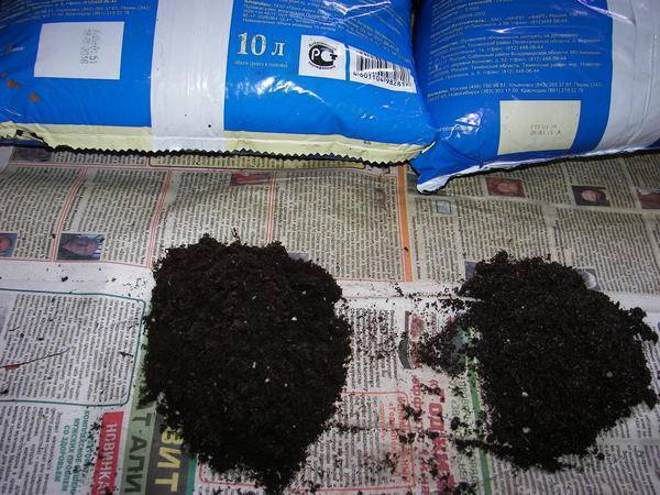 Состав готового грунта для антуриума и подготовка почвы в домашних условиях