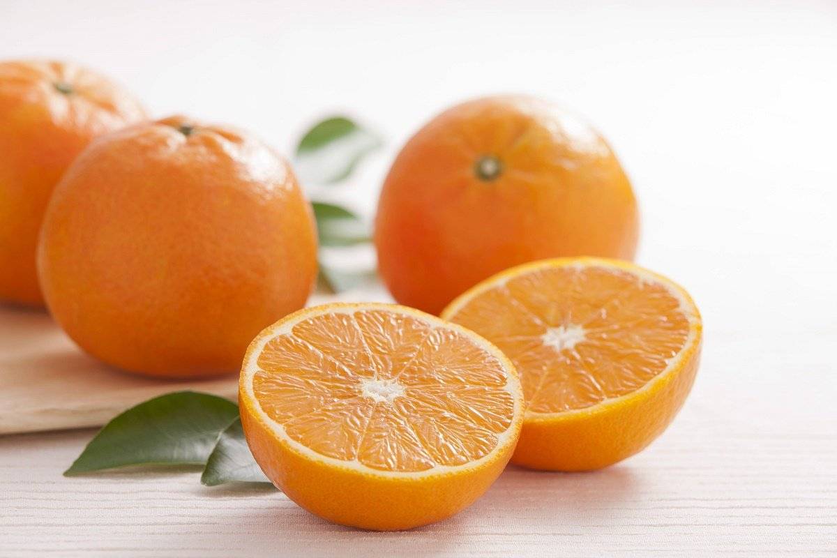 Как можно вырастить апельсиновое дерево в домашних условиях, посадка и уход