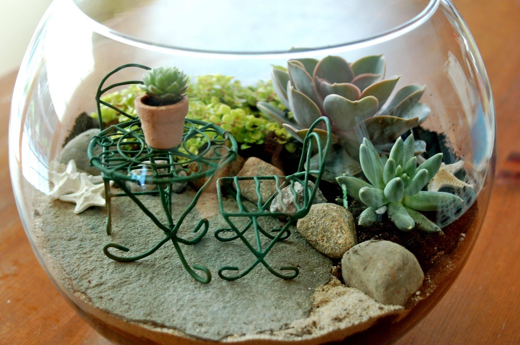 Сады в миниатюре: как сделать мини-сад своими руками и какие они бывают - decorwind