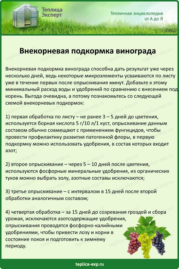 Некорневая подкормка | справочник пестициды.ru