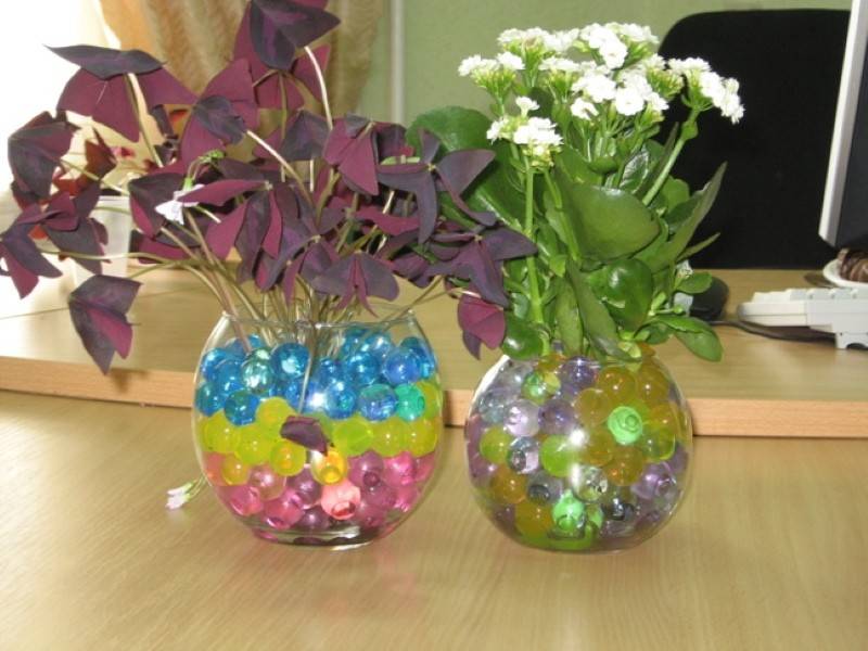 Гидрогель для комнатных растений: что это, каковы плюсы и минусы, для выращивания каких цветов применять, как использовать шарики?