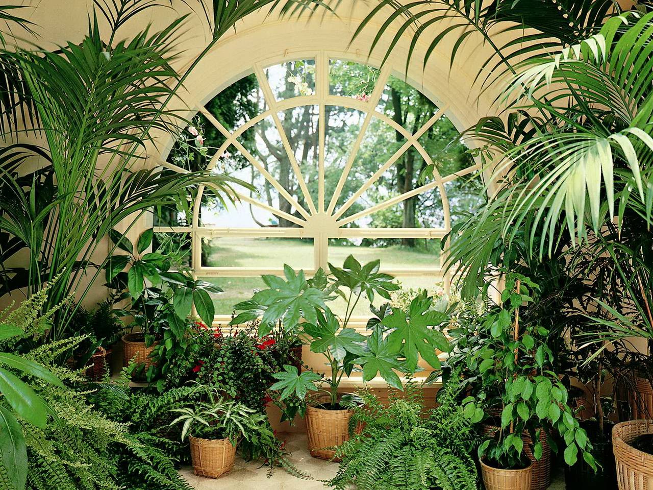 Нюансы обустройства зимнего сада на даче: конструкция, растения, микроклимат