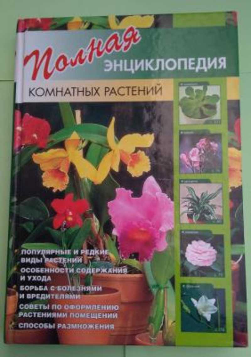 Комнатные растения: фото и названия (каталог)