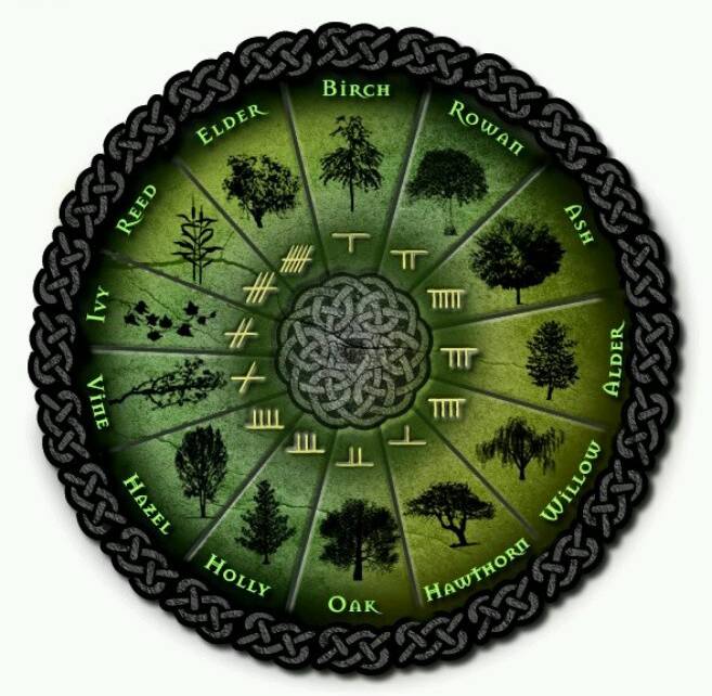 ???? полный гороскоп друидов по дате рождения | галльский гороскоп и гороскоп деревьев
