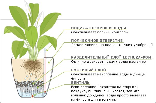 Комнатные растения: какой дренаж лучше, и что использовать в качестве дренажа