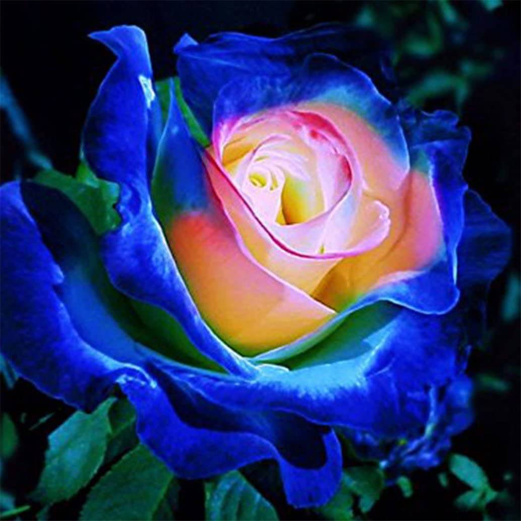 Как читать «розу мира» даниила андреева объясняем на примере «розы мира» даниила андреева — нож