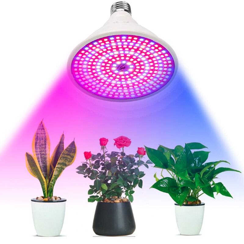 Лампа для цветов в домашних условиях: польза искусственного освещения, виды ламп для комнатных растений