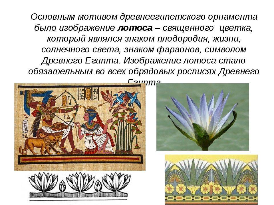 В чём секрет материала, на котором записывали библейские тексты: забытая древняя технология изготовления папируса