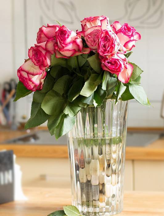 Как оживить розы в вазе