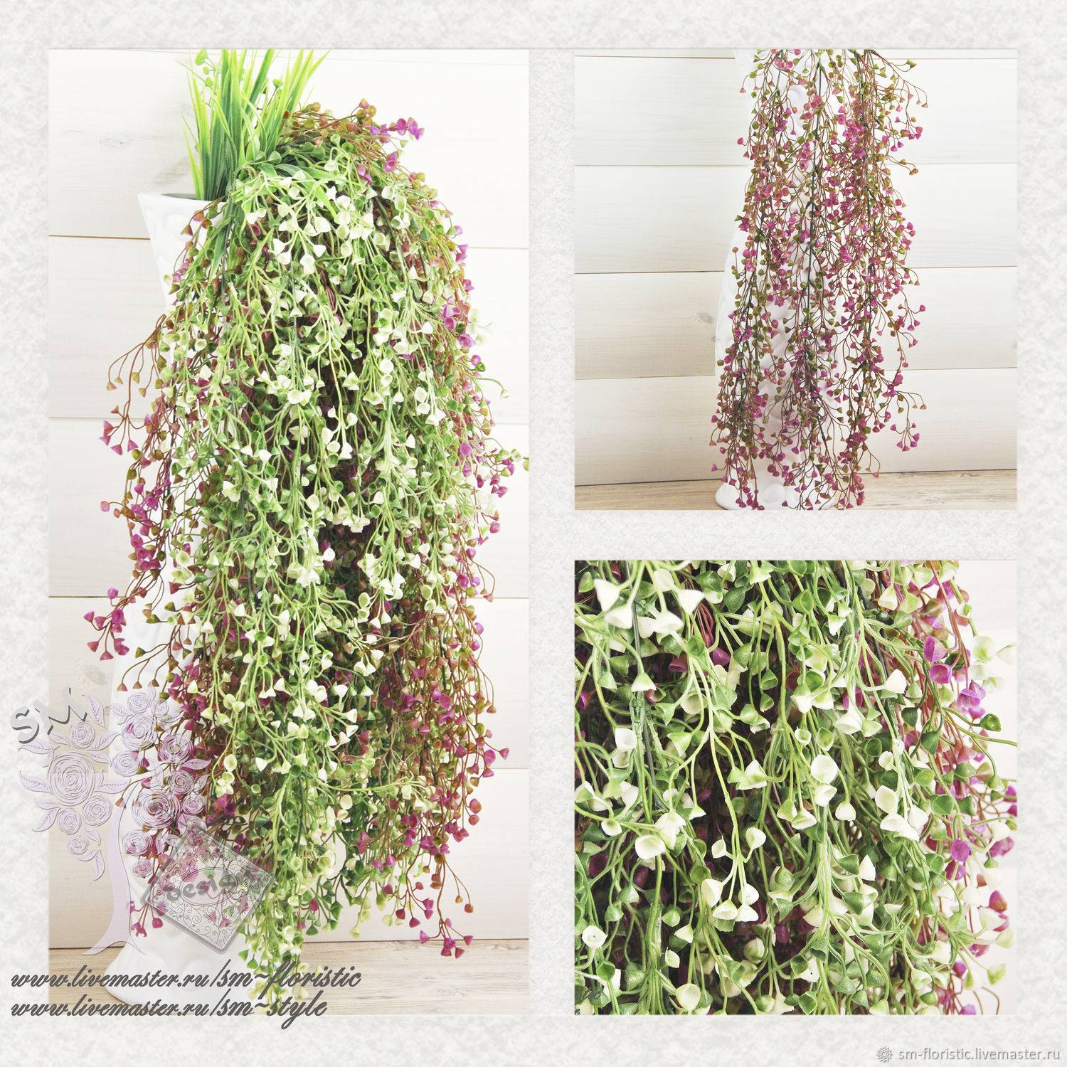 Ампельные комнатные растения: названия и фото эффектных свисающих из горшка растений