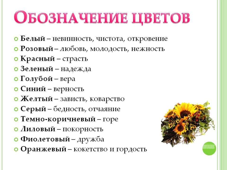 Какие цветы что символизируют и обозначают? разберемся.
