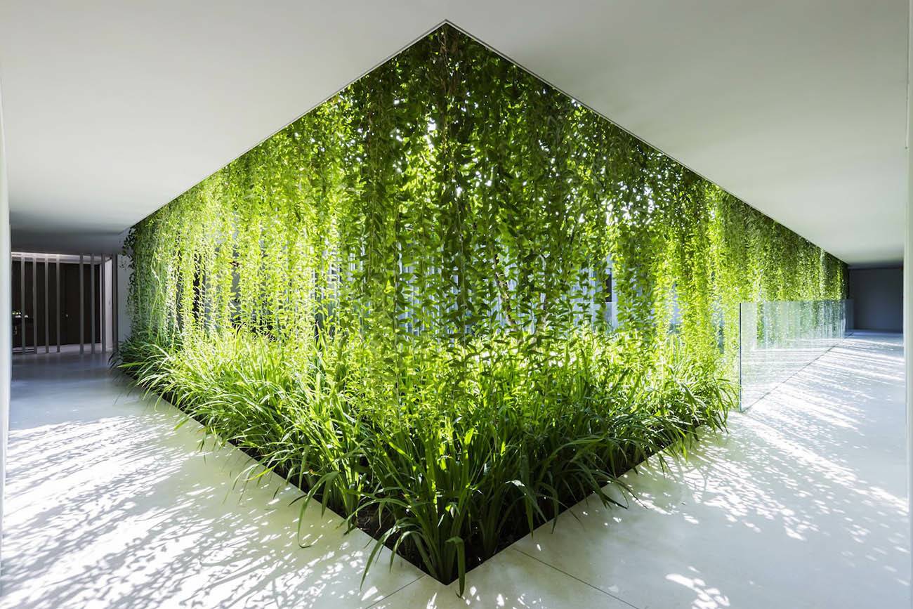 Вертикальное озеленение (160 фото) - разновидности вертикального озеленения, варианты украшения, виды растений, нестандартные идеи