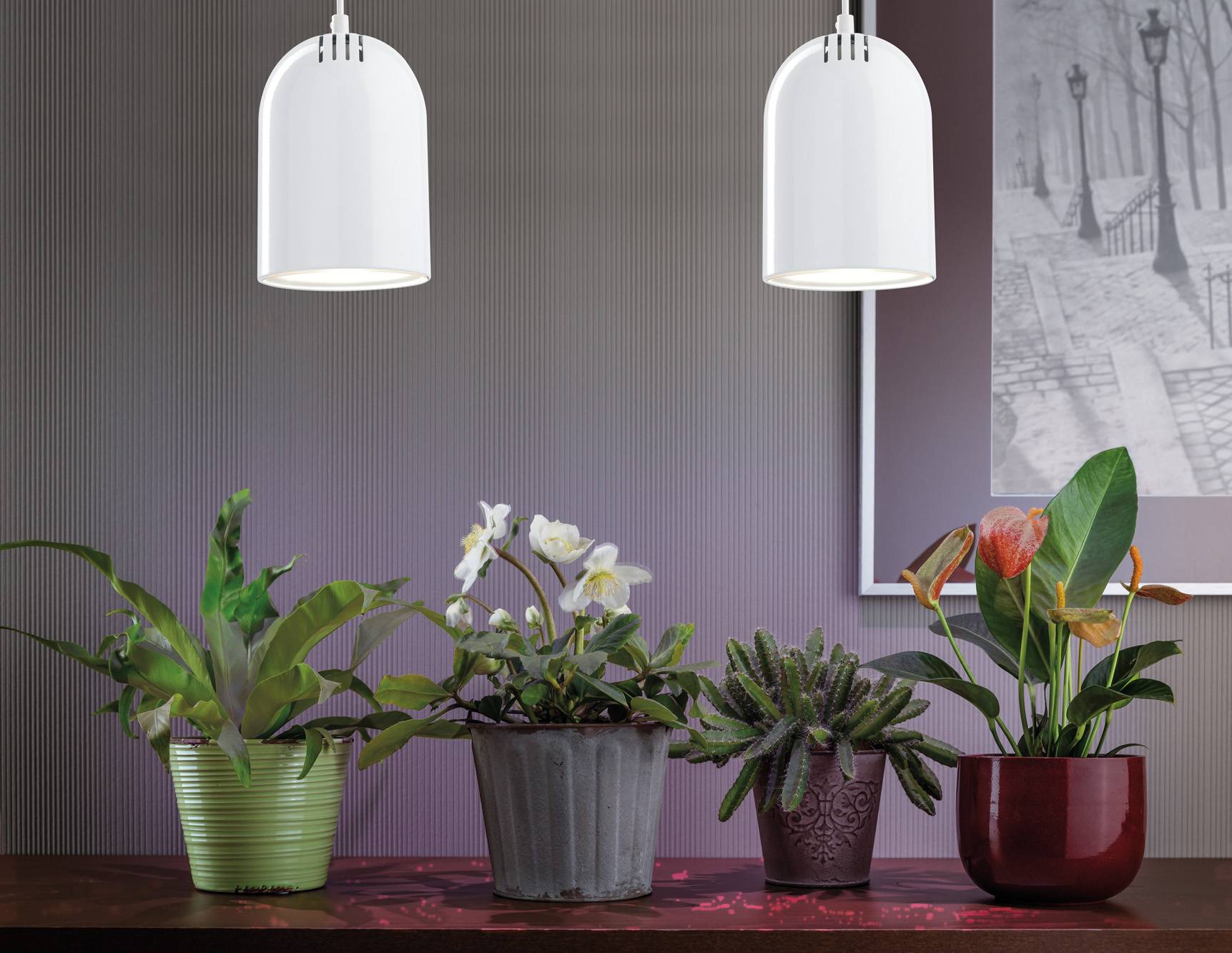 ???? лампы для растений: как выбрать подходящий источник света