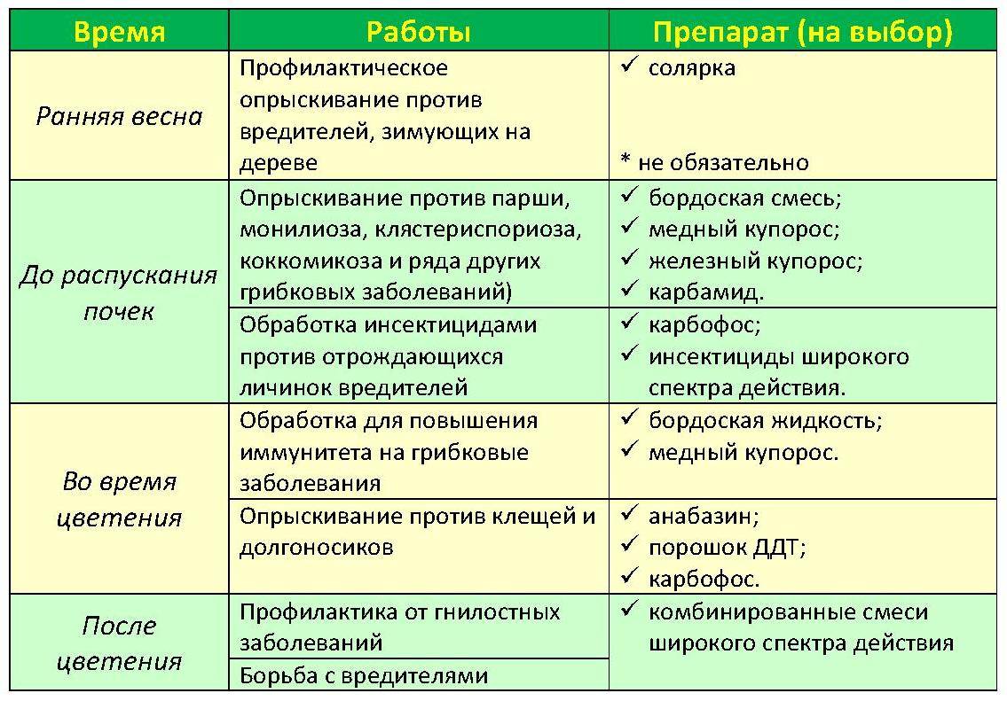 Схема опрыскивания плодовых деревьев