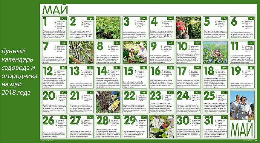 Лунный календарь 2022 по месяцам посева, посадки цветов: таблица благоприятных дней