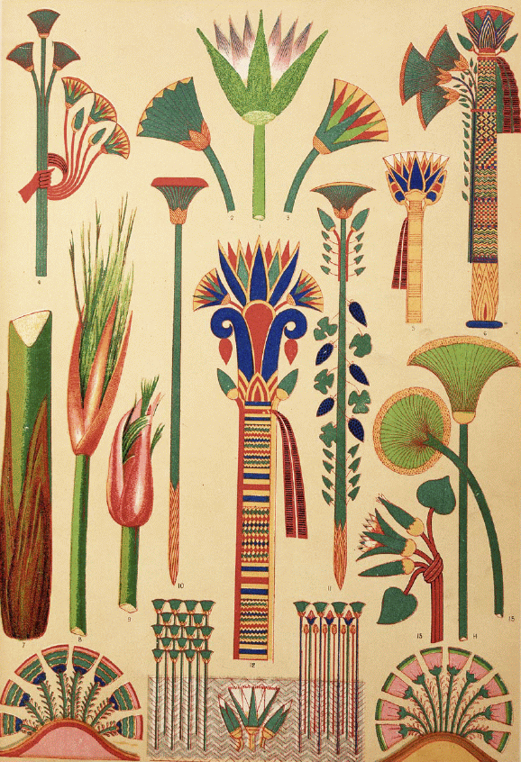 История растений: цветы в древнем египте