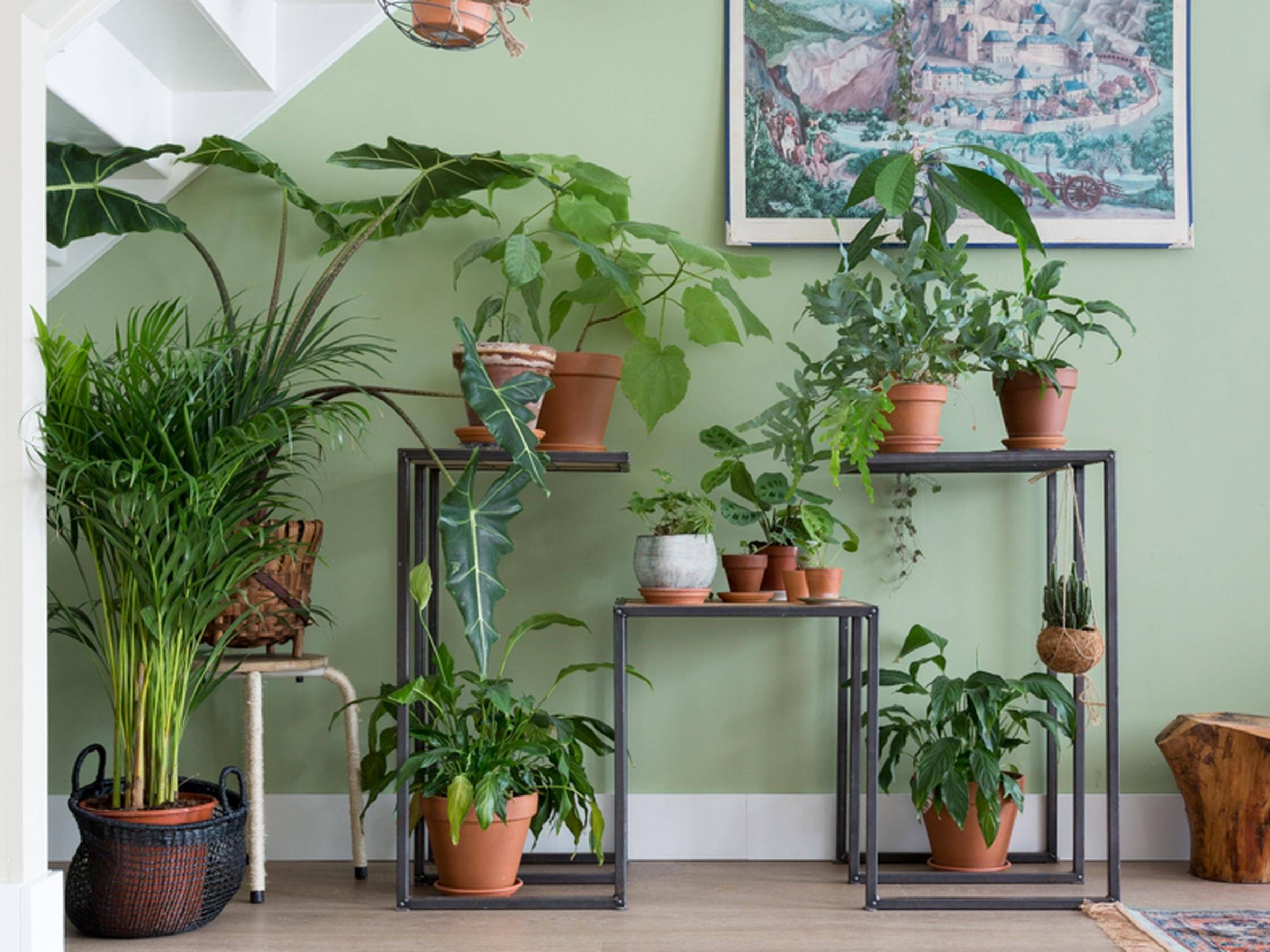 Вертикальное озеленение в гостиной – оригинальный интерьер с живой стенкой (80 фото)