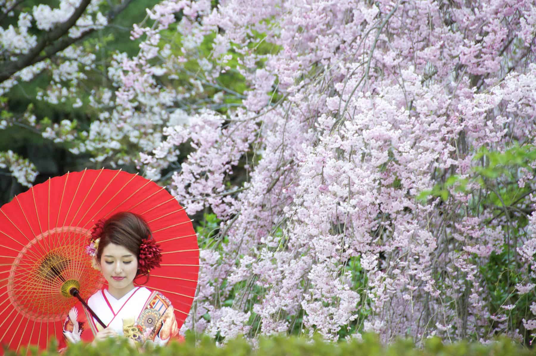 Цветочная символика в повседневной жизни японца: поэзия обыденности