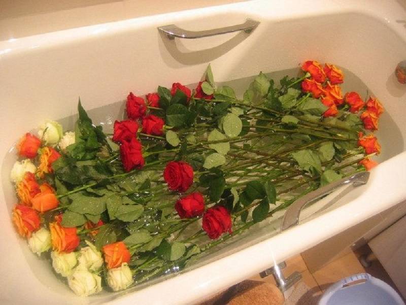 Как дольше сохранить срезанные розы в вазе: что добавить в воду, чтобы продлить им жизнь