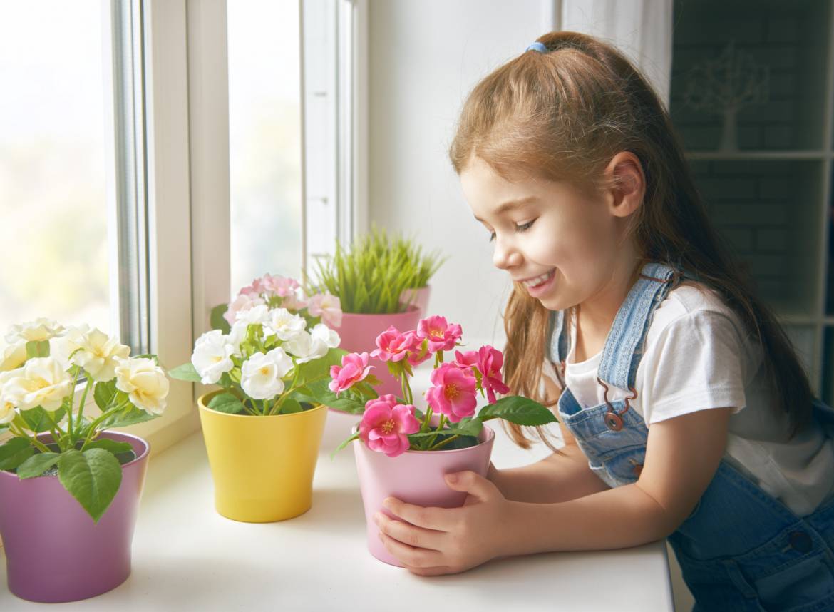 12 полезных цветов в детскую комнату