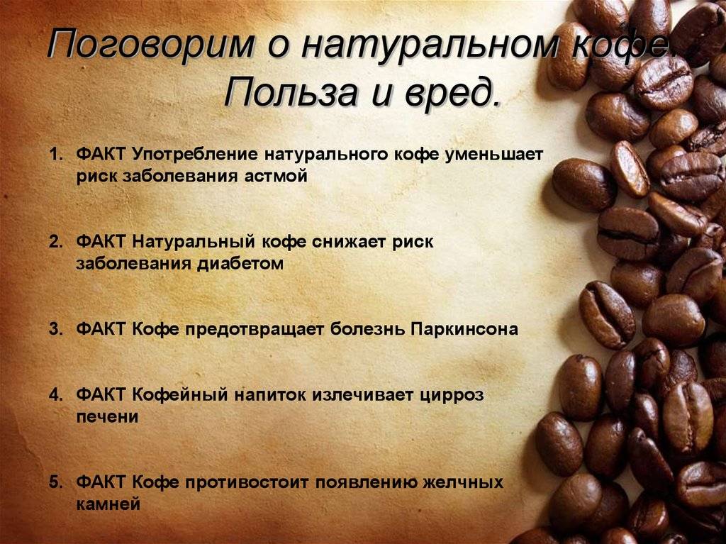 Свой бизнес: как открыть точку по продаже «кофе с собой»