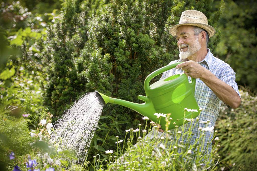 Как помочь растениям пережить жару. правила полива, капельный полив своими руками. фото — ботаничка
