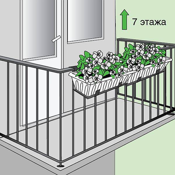 Цветы для балкона: фото и названия