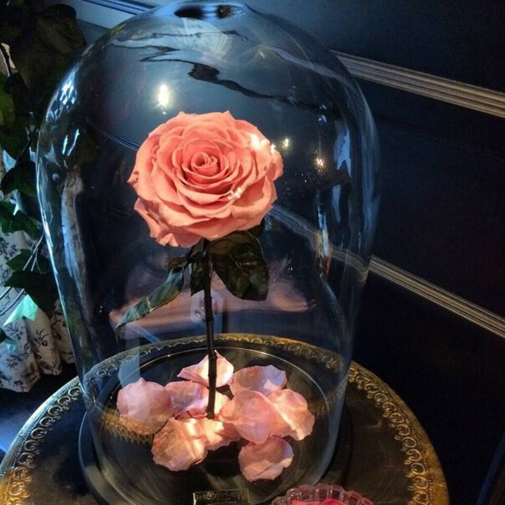 Неувядающие  цветы в стекле? это новая реальность!