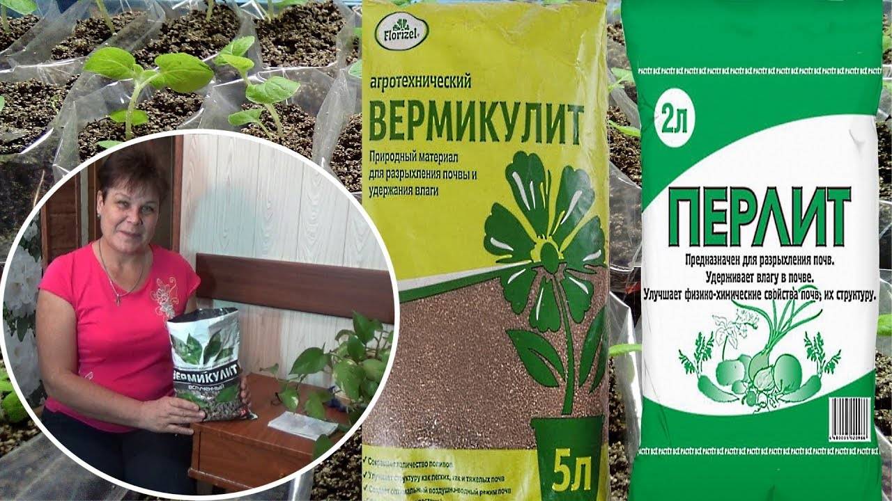 Как использовать перлит для удобрения: свойства и состав агроперлита, особенности применения в огороде, отзывы