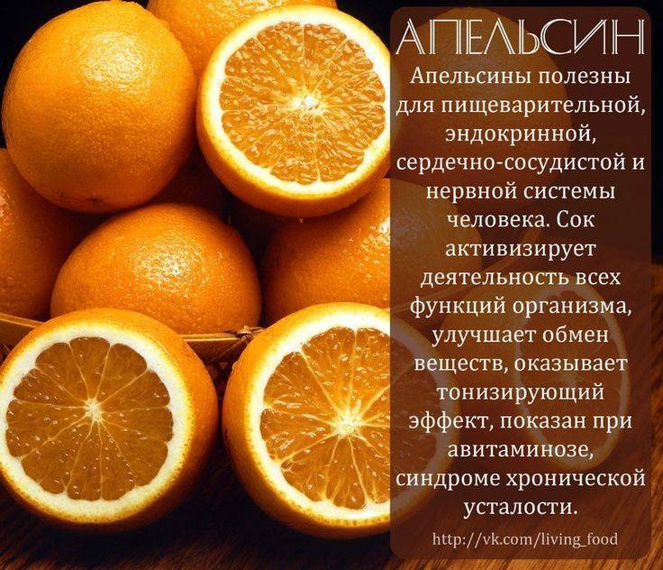 Апельсин как комнатное растение. сорта
